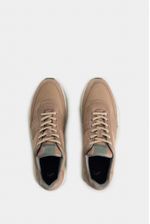Tenis